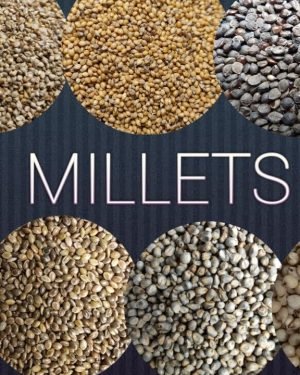 Does Rice Have Gluten? | Is Rice Gluten-Free?