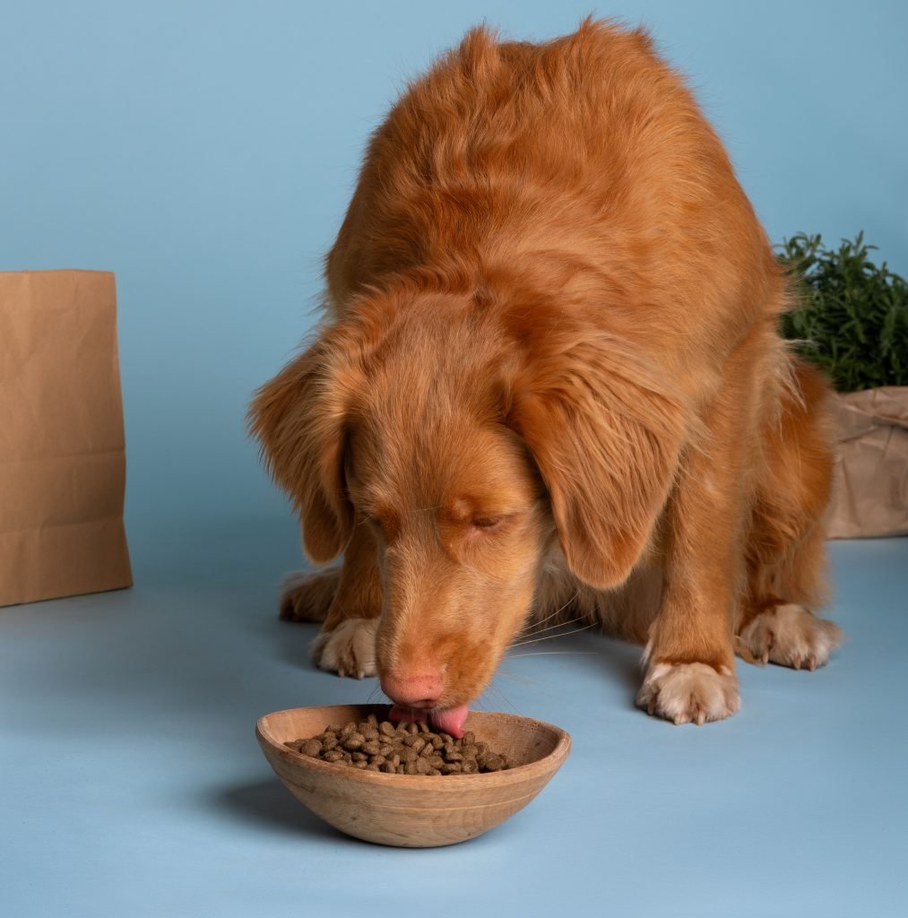 Grain Free Gluten Free Dog Food For Vomiting preview